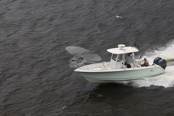 al0171rb.sea hunt.08
