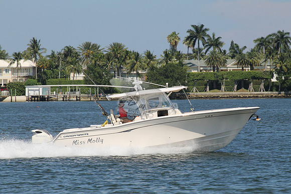 FL1714NS.07