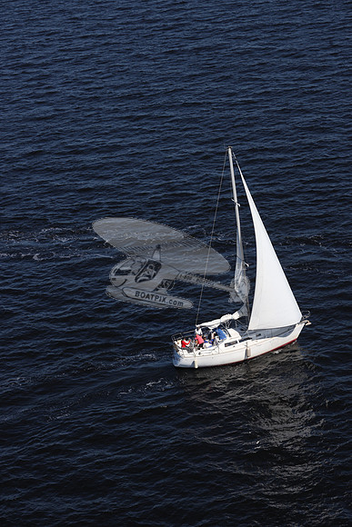 00000.FL6014SL.TAZZ.3788