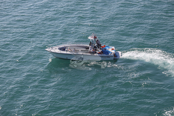 conch flyer.8276