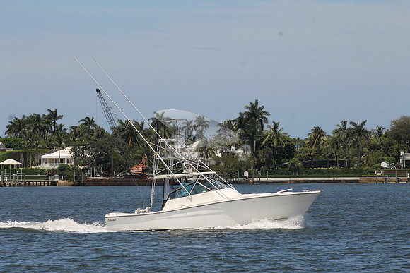 FISH HAPPENS.LANTANA FL.TOPAZ.05