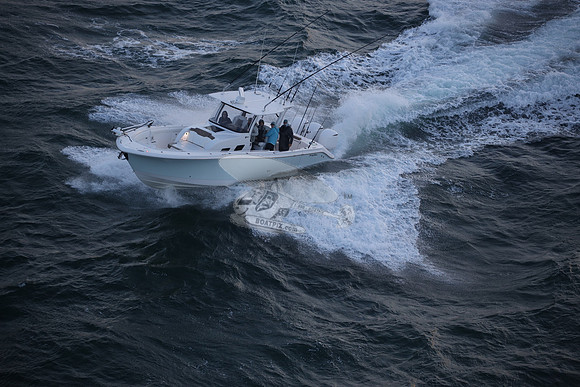 contingent seas.belleair bluffs .9036