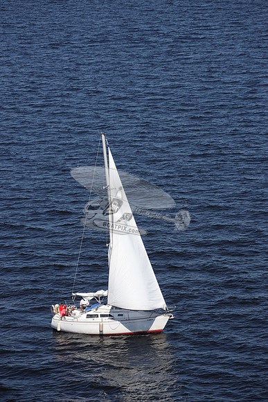 00000.FL6014SL.TAZZ.3740