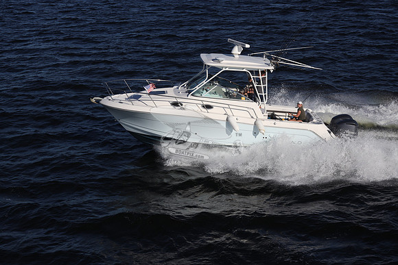 ACCI-DENTAL.JAX FL.ROBALO.10