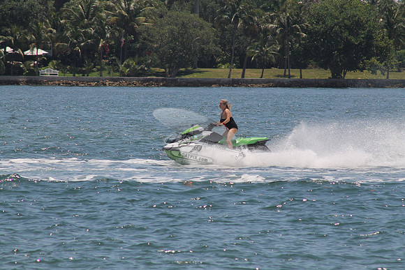FL1776TE.04