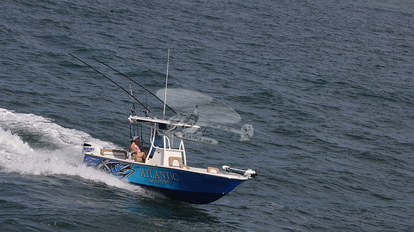 atlantic marine.gemlux.8210