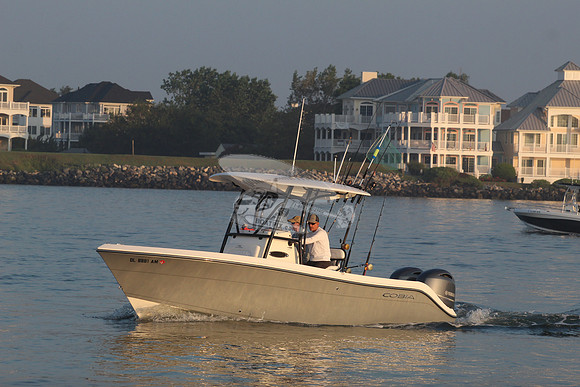 DL8881AM.2