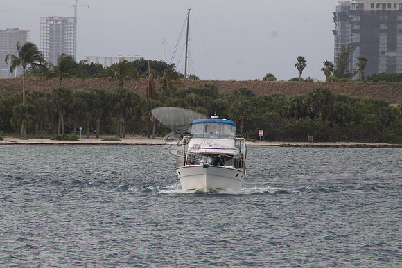 ANATINI.ST LUCIE FL.04