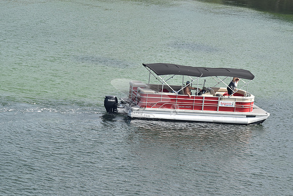 FL1981TL.312