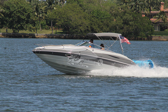 CROWNLINE.GRAY WHITE.06