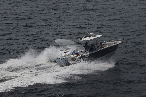 fl1751sn.06