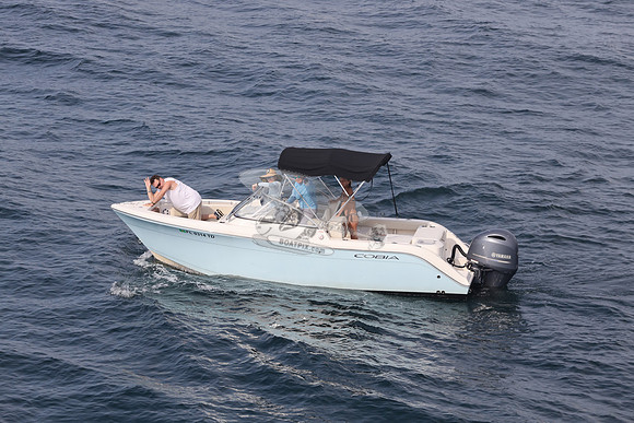 FL0314TD.SEA YA.15