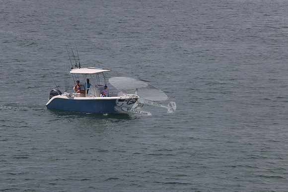 cobia.one yamaha.10
