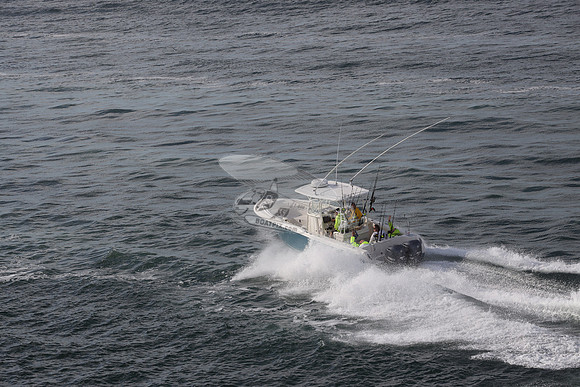 --2871ah.sailfish.blue hull.2778