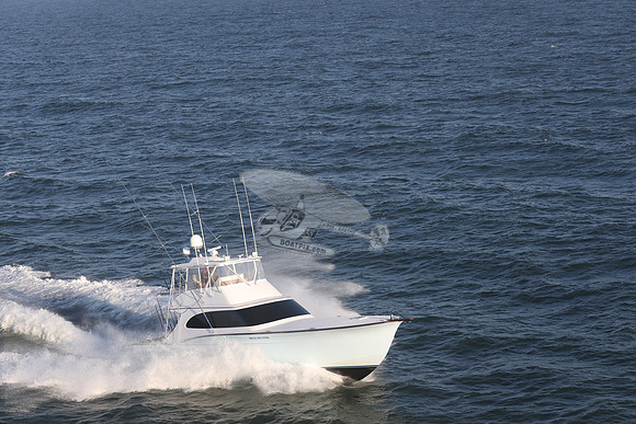 blue runner.manasquan nj.9305