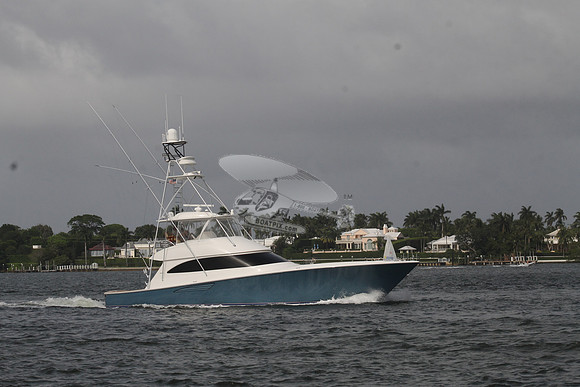 CAPTIVATING.PALM BEACH FL.1