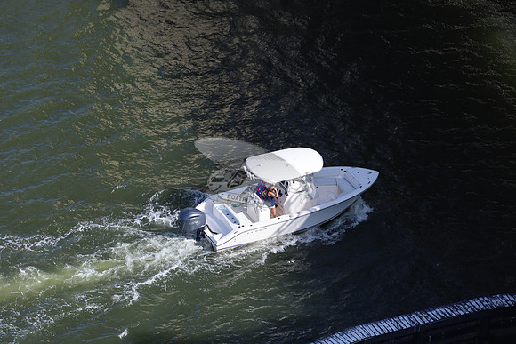 Cobia.one yamaha.4