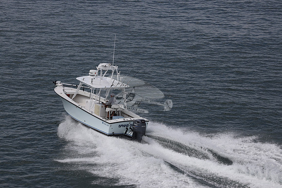 DL5745AH.02