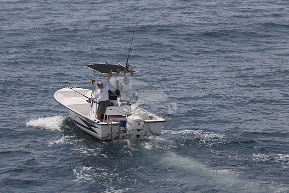 FL2022MB.RIPARIUS VI.02