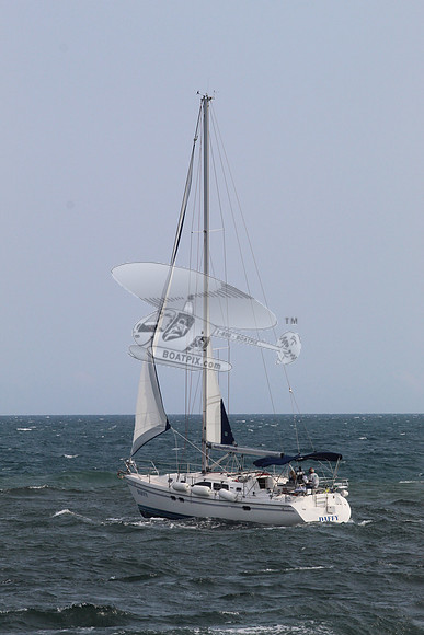 DAFFY.FL..SAIL.04