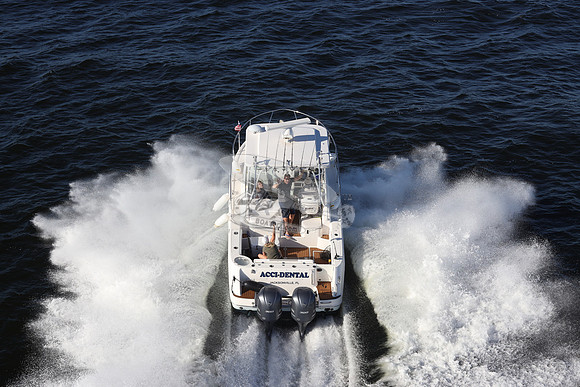 ACCI-DENTAL.JAX FL.ROBALO.02