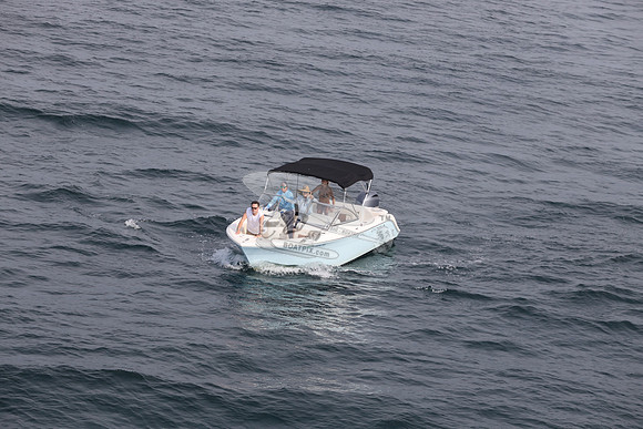 FL0314TD.SEA YA.21