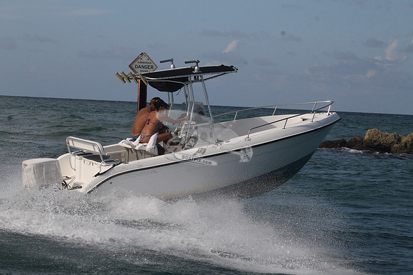 COBIA.03