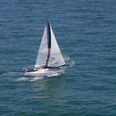 422.FL8313SN..SPIRIT OF THE WIND.20
