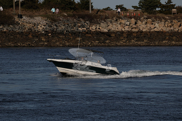ms4316br.01