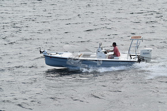 FL1841SB.3