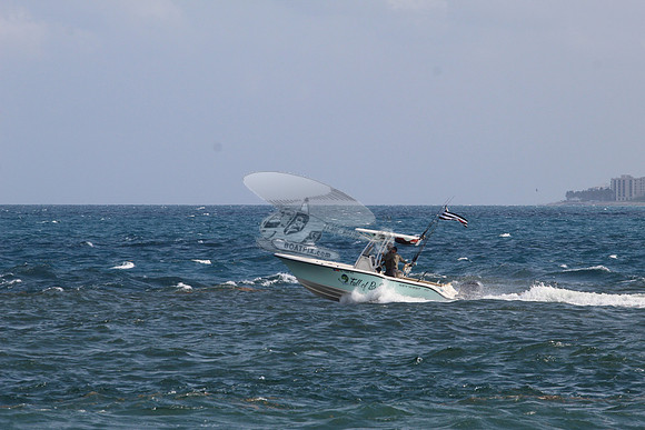 fl1368rs.full of bull.1726