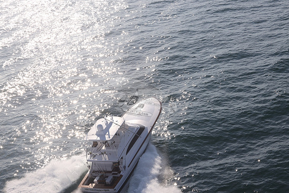ABSOLUT PLEASURE.OCEAN CITY MD.33