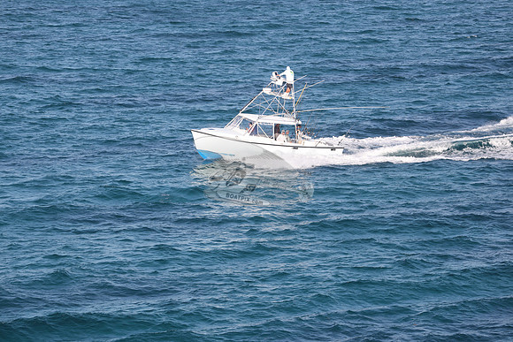 BLUE MAGIC.MARATHON FL.03