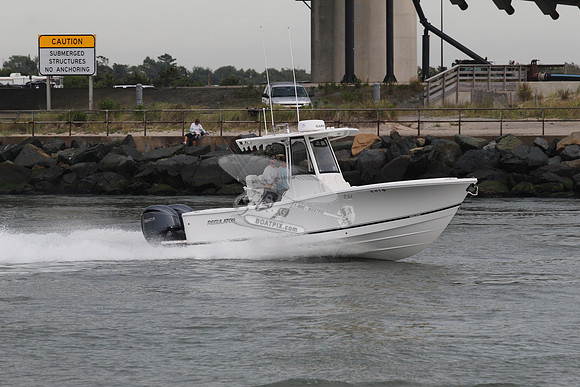 dl49s.3602