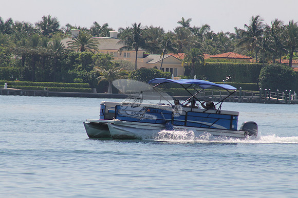 FL2440SV.004