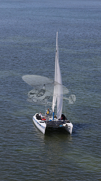374.FL6859DP.ROC.19