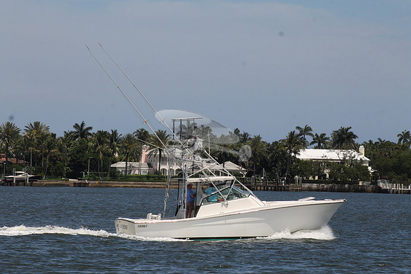 FISH HAPPENS.LANTANA FL.TOPAZ.12