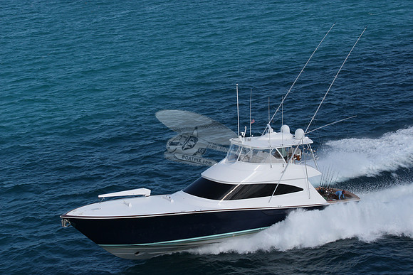 fins up.5881