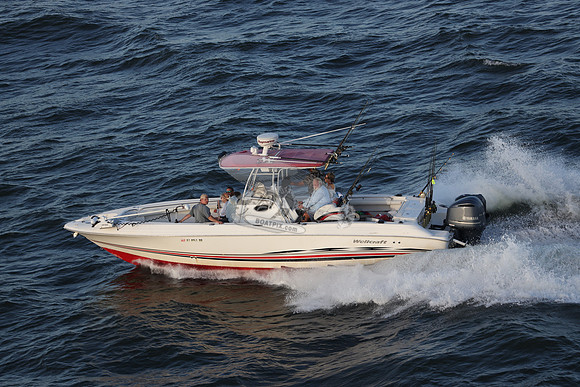 al0961rh.18