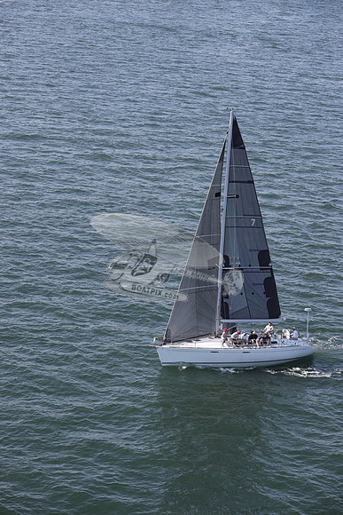 7.TEAM TONIC.SAG HARBOR NY.01