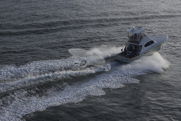 a salt weapon 3.ocean city md.0876
