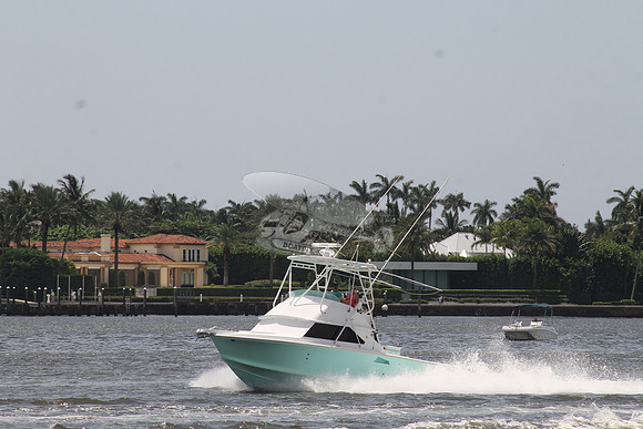 Bertram 28 green.01