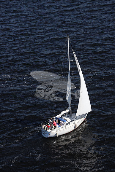 00000.FL6014SL.TAZZ.3782