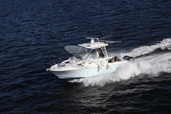 ACCI-DENTAL.JAX FL.ROBALO.13