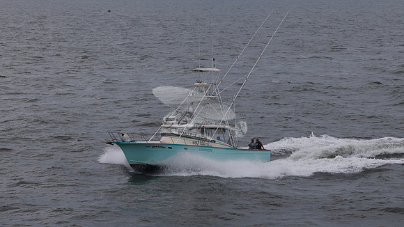 697155.hull's sea lover.ponce inlet fl.9437