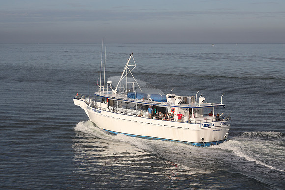 917625.friendly fisherman.madeira beach fl.9457