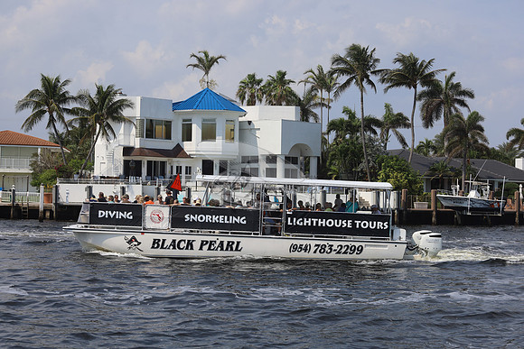 BLACK PEARL.1