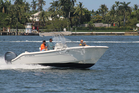 COBIA.05