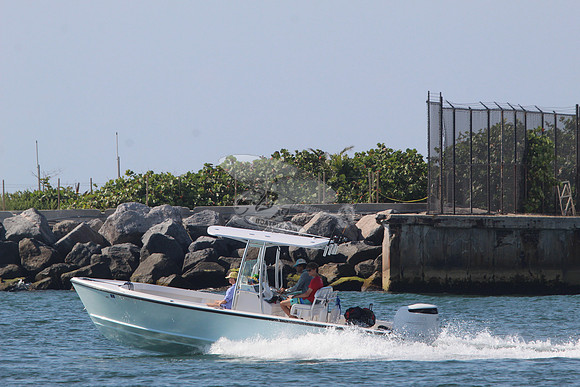 FL6645TS.7