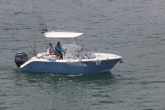 cobia.one yamaha.17